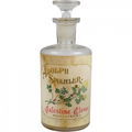Palestine Clover by Adolph Spiehler
