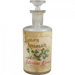 Palestine Clover by Adolph Spiehler