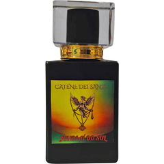 Jundiaí do Sol by Catene Dei Santi