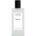 Alchemist Charlatan - Figueres von FUMparFUM