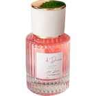 Pink Dream by Shop Lavana