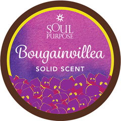 Bougainvillea by Soul Purpose
