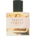 Beech Forest by Atwood