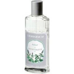 Patchouli von Durance en Provence