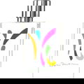 Bamboo Harmony Sophie Matisse Art Edition by Kilian