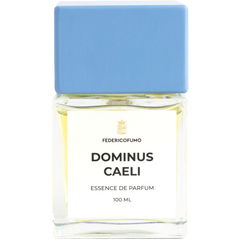 Dominus Caeli by Federico Fumo