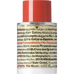 Vétiver Extraordinaire 20 Ans by Editions de Parfums Frédéric Malle
