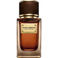 Velvet Amber Sun by Dolce & Gabbana