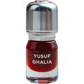 Yusuf Ghalia by Ensar Oud / Oriscent
