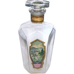 Silver Lake by B. D. Baldwin & Co.