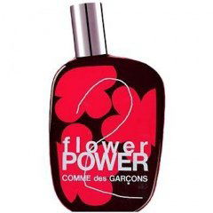 Comme des Garçons 2 Flower Power Special Edition by Comme des Garçons