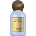 Citrus Liqueur von Exuma