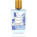Patchouli by Les Essentiels