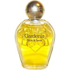 Gardenia von Fleur de Santé / Knut Wulff