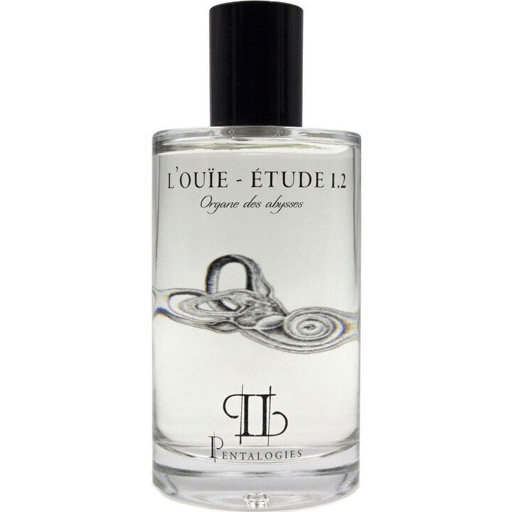 L'Ouïe - Étude 1.2 by Pentalogies