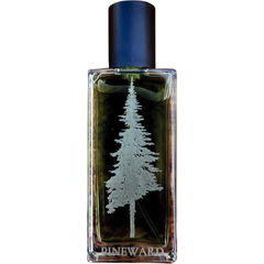 Coastal Veil von Pineward
