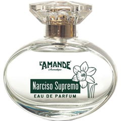 Narciso Supremo von L'Amande