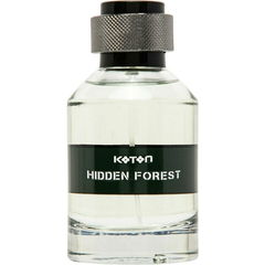 Hidden Forest by Koton