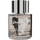 Golden Coast by Avau