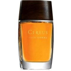 Pour Homme N° 14 by Cereus