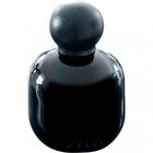 Bass Solo von The Vagabond Prince