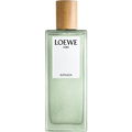 Aire Sutileza von Loewe