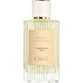Tuberosa 1974 von Chloé