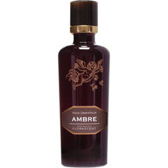Classic Collection: Aqua Orientalis - Ambre von Florascent