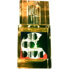 Disco Diva by PP Perfumes