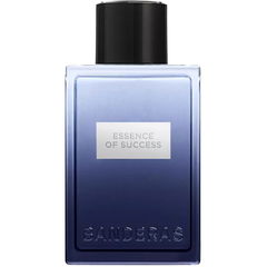 Essence of Success von Banderas