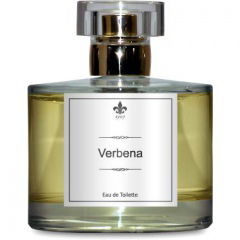 Verbena by 1907 Verbena by 1907