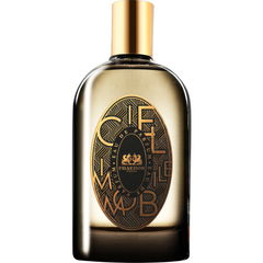 Ciel Immobile by Phaedon