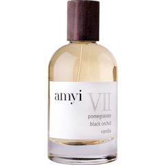amyi VII by amyi