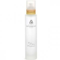 Eau d'Été Parfumée - Dynamisante von Marcus Spurway