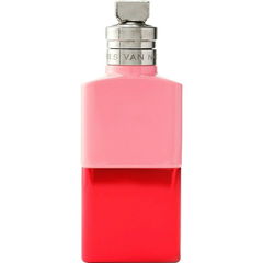 Raving Rose by Dries Van Noten