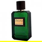 Cedarstorm von Panouge