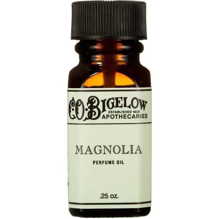 Magnolia von C.O. Bigelow Magnolia von C.O. Bigelow