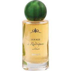 Basalte by Voyage à Rodrigues