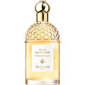 Aqua Allegoria Mandarine Basilic von Guerlain
