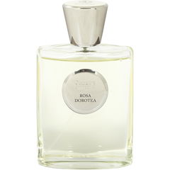 Rosa Dorotea by Giardino Benessere