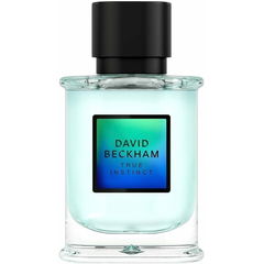 True Instinct von David Beckham