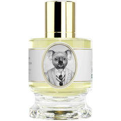 Koala Joey Edition by Zoologist