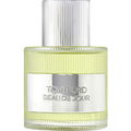 Beau de Jour (Eau de Parfum) von Tom Ford