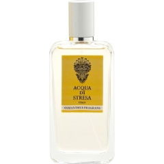 Osmanthus Fragrans by Acqua di Stresa