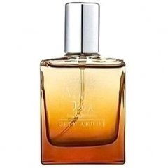 Passion in New York von the SAEM