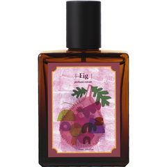 Fig / 무화과 by Hebron Project