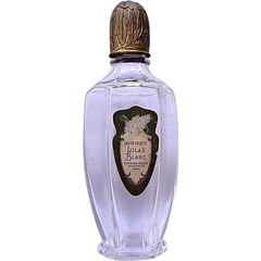 Lilas Blanc by American-French Perfume Co.