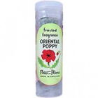 Oriental Poppy by Potter & Moore