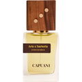 Arte e Sartoria von Capuani