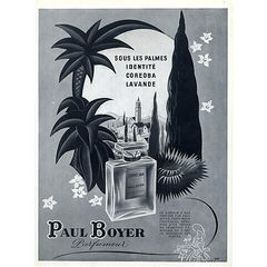 Lavande von Paul Boyer